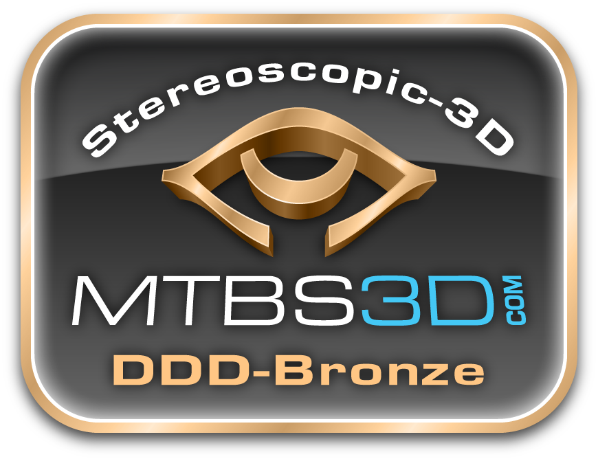 DDD Bronze Logo