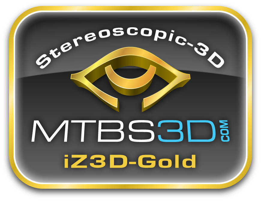 iZ3D Gold Logo