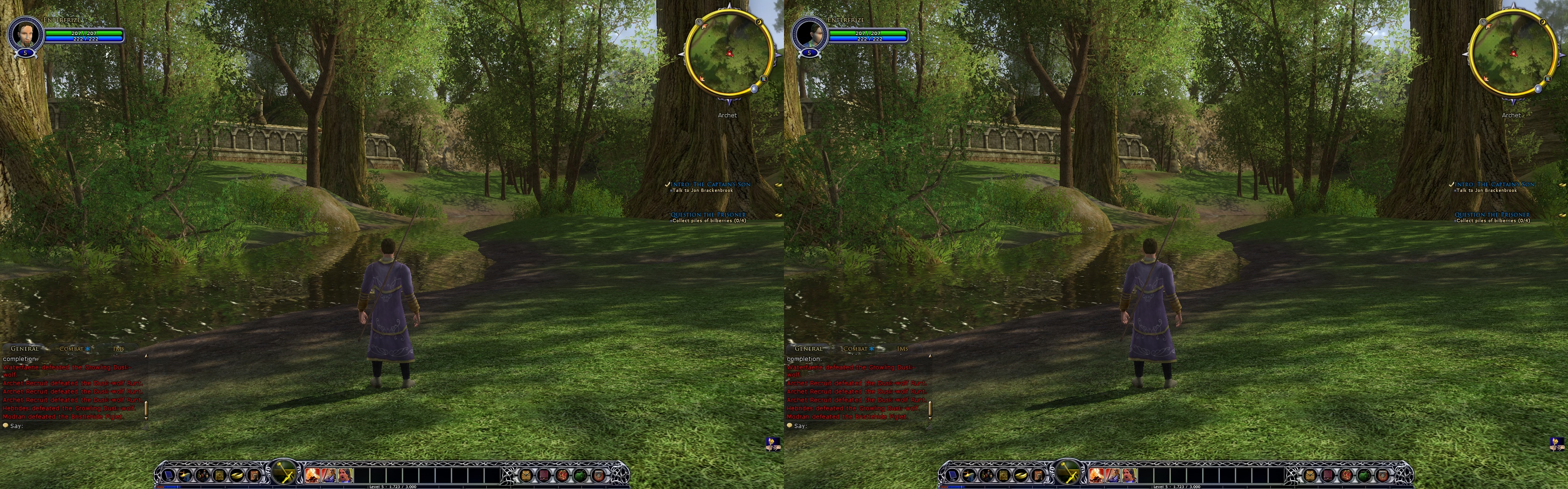 Lord of the Rings Online (LOTRO)