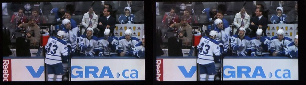 The Winning Toronto Maple Leafs in 3D!